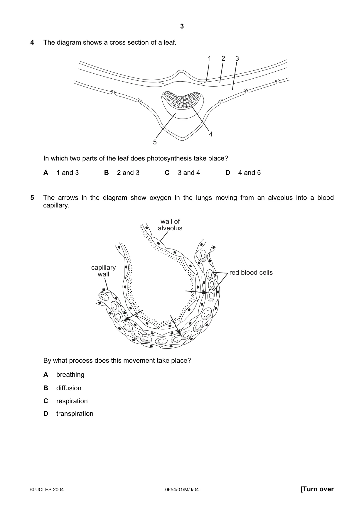 Cambridge IGCSE Sciences - Co-ordinated (Double) 0654 2004 May/June Paper 1 · Variant 1 question paper, page 3 of 20