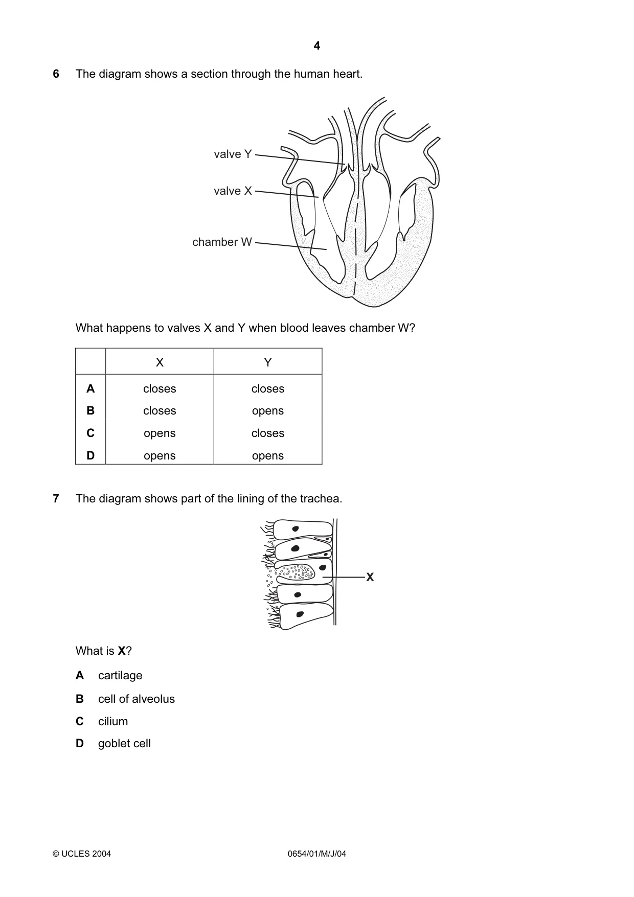 Cambridge IGCSE Sciences - Co-ordinated (Double) 0654 2004 May/June Paper 1 · Variant 1 question paper, page 4 of 20