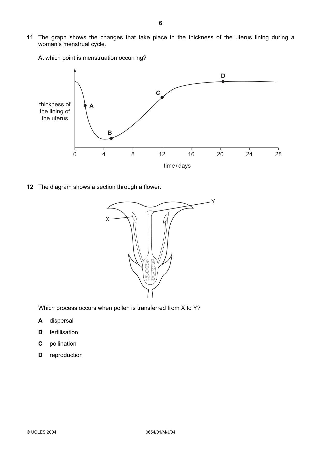 Cambridge IGCSE Sciences - Co-ordinated (Double) 0654 2004 May/June Paper 1 · Variant 1 question paper, page 6 of 20