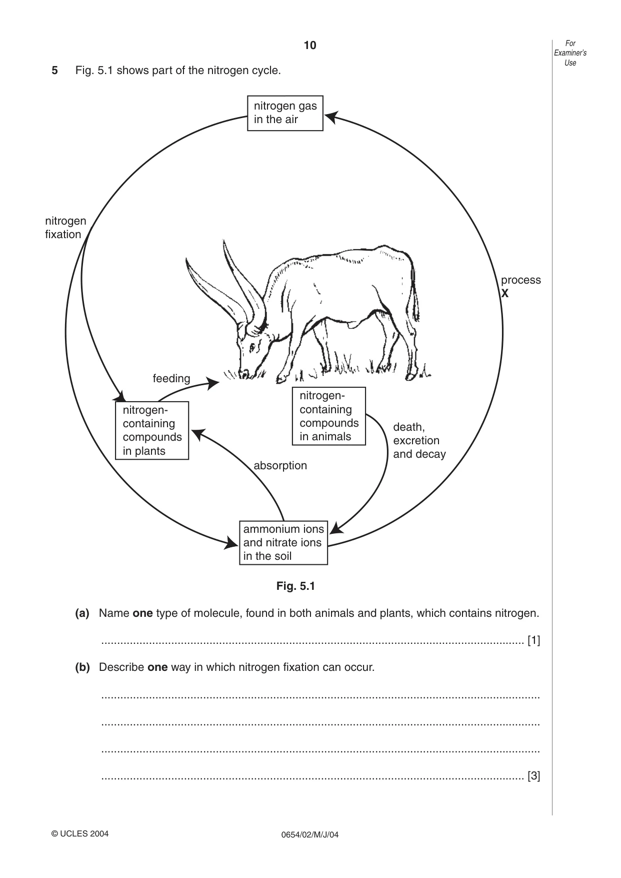 Cambridge IGCSE Sciences - Co-ordinated (Double) 0654 2004 May/June Paper 2 · Variant 1 question paper, page 10 of 24