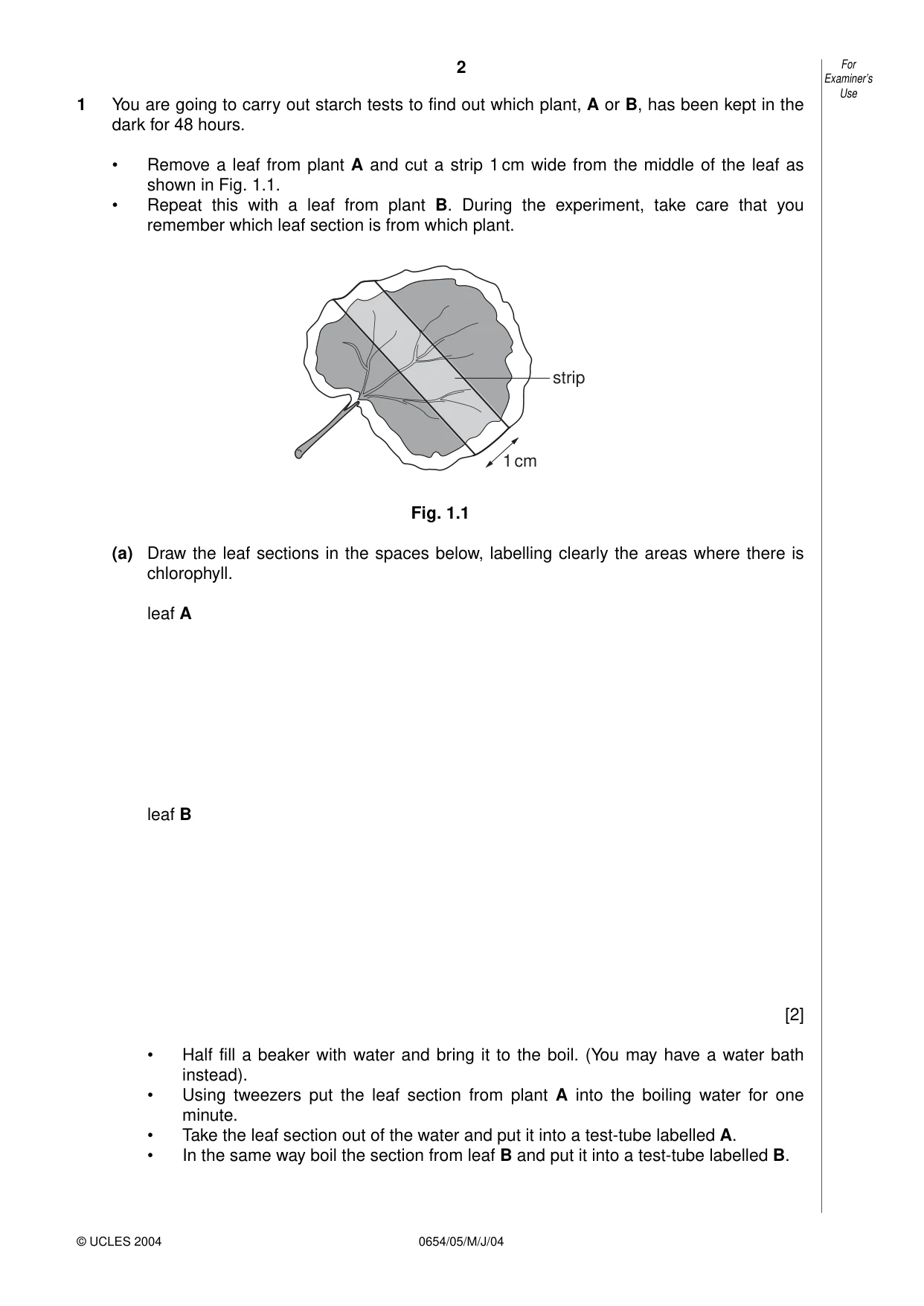 Cambridge IGCSE Sciences - Co-ordinated (Double) 0654 2004 May/June Paper 5 · Variant 1 question paper, page 2 of 12