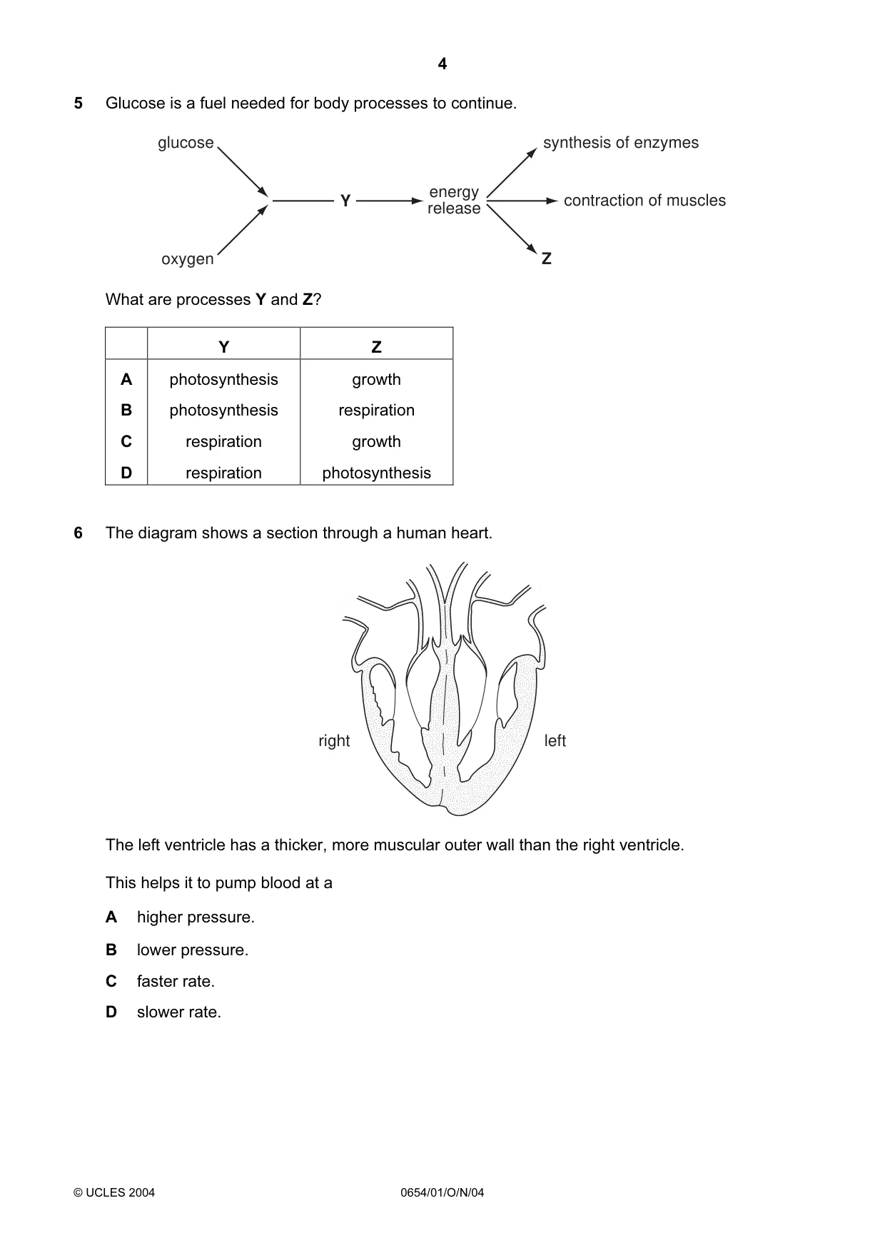 Cambridge IGCSE Sciences - Co-ordinated (Double) 0654 2004 Oct/Nov Paper 1 · Variant 1 question paper, page 4 of 20