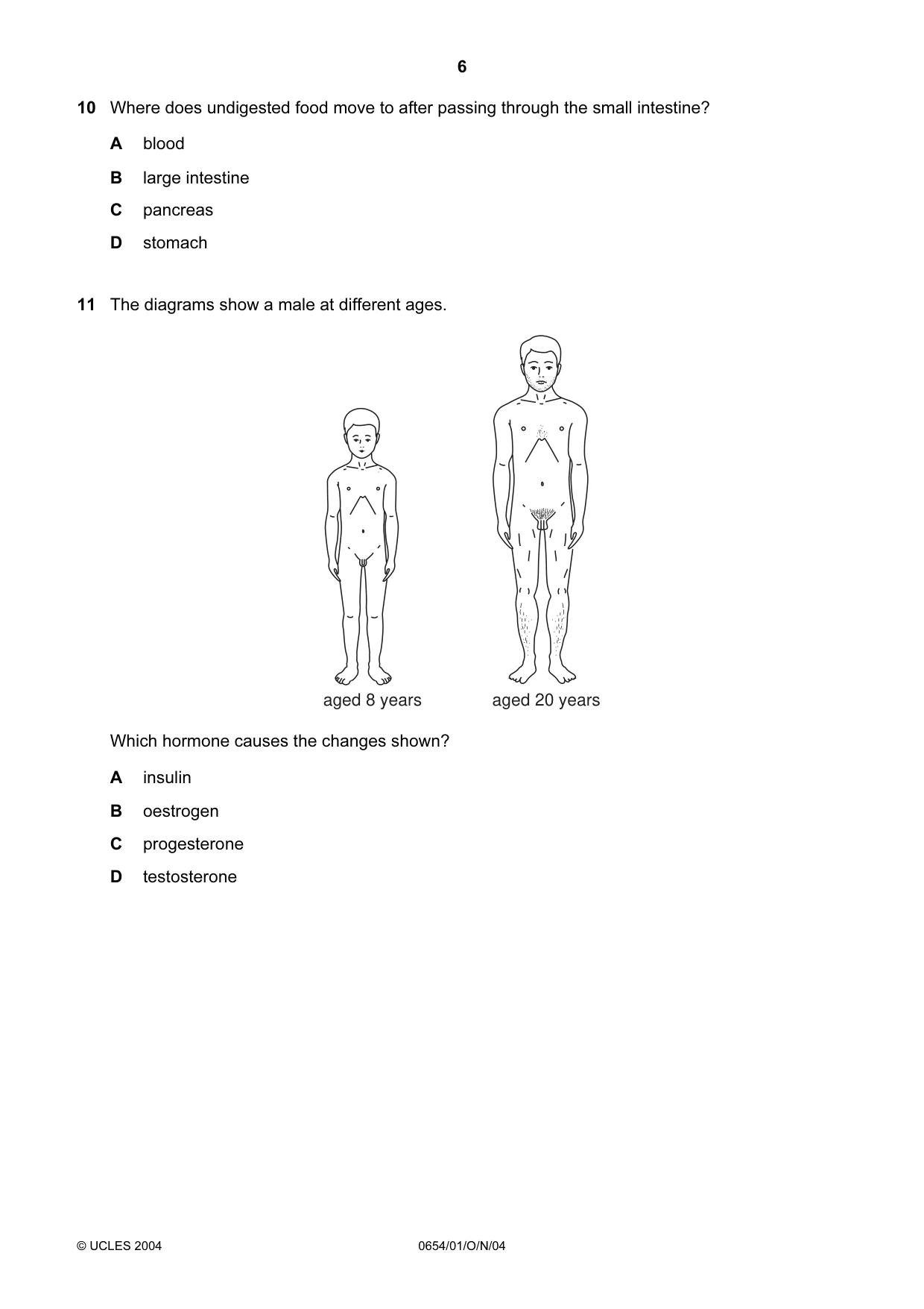 Cambridge IGCSE Sciences - Co-ordinated (Double) 0654 2004 Oct/Nov Paper 1 · Variant 1 question paper, page 6 of 20