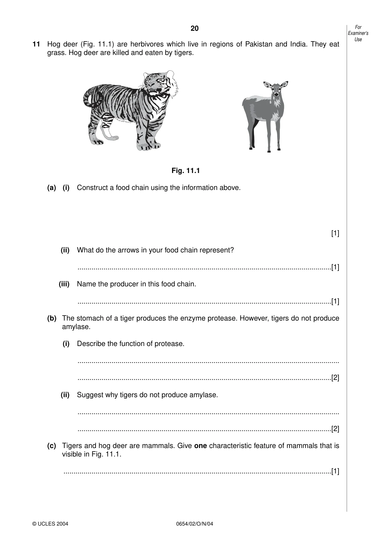 Cambridge IGCSE Sciences - Co-ordinated (Double) 0654 2004 Oct/Nov Paper 2 · Variant 1 question paper, page 20 of 24