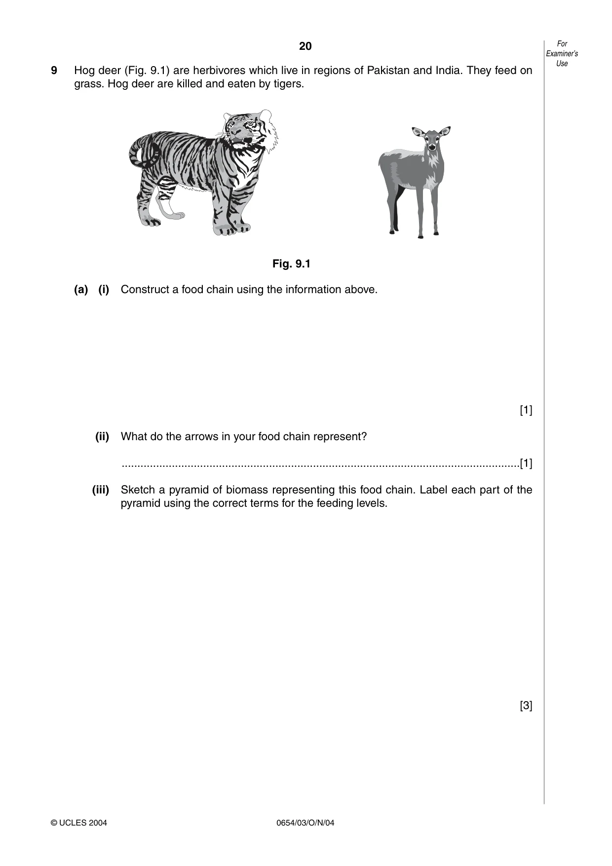 Cambridge IGCSE Sciences - Co-ordinated (Double) 0654 2004 Oct/Nov Paper 3 · Variant 1 question paper, page 20 of 24