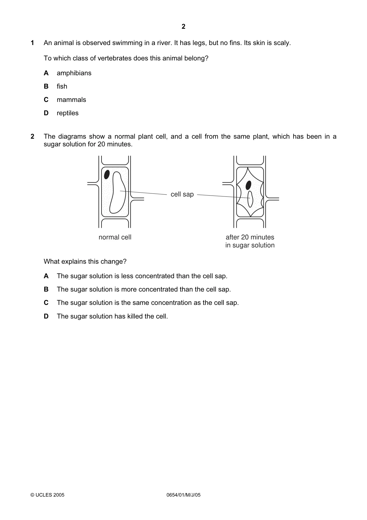 Cambridge IGCSE Sciences - Co-ordinated (Double) 0654 2005 May/June Paper 1 · Variant 1 question paper, page 2 of 20