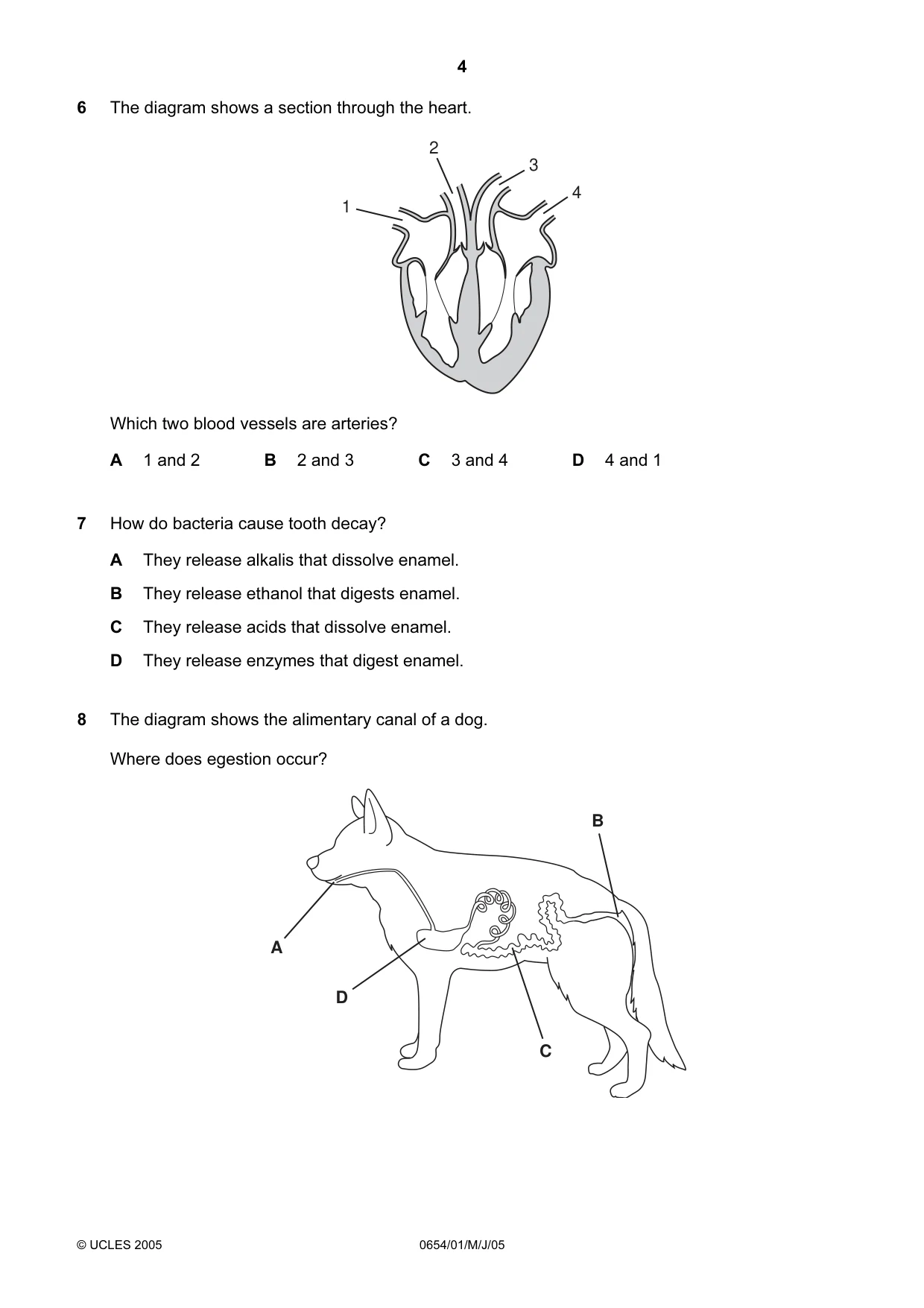 Cambridge IGCSE Sciences - Co-ordinated (Double) 0654 2005 May/June Paper 1 · Variant 1 question paper, page 4 of 20