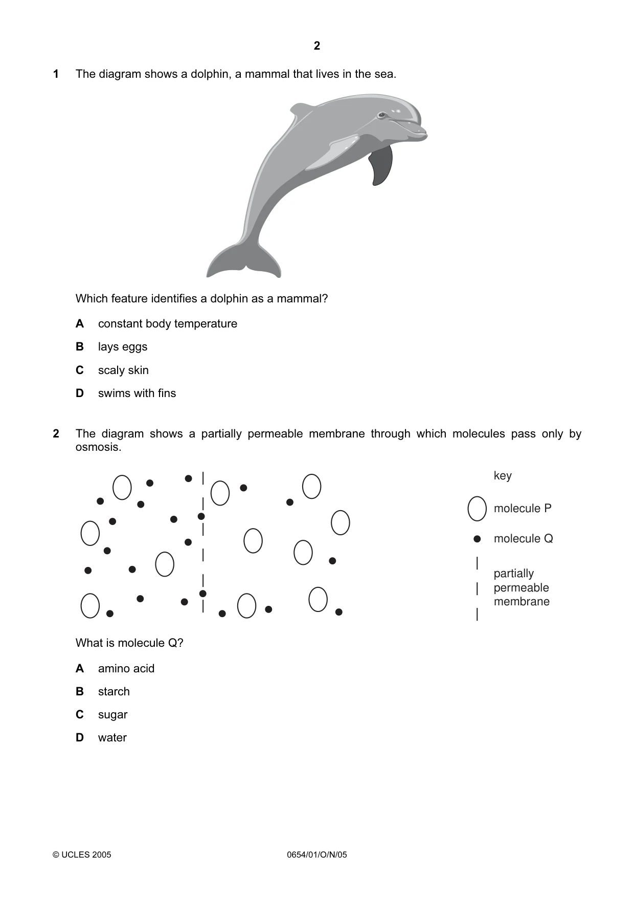 Cambridge IGCSE Sciences - Co-ordinated (Double) 0654 2005 Oct/Nov Paper 1 · Variant 1 question paper, page 2 of 20