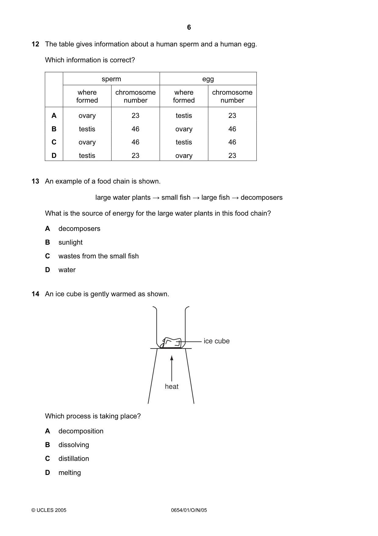 Cambridge IGCSE Sciences - Co-ordinated (Double) 0654 2005 Oct/Nov Paper 1 · Variant 1 question paper, page 6 of 20
