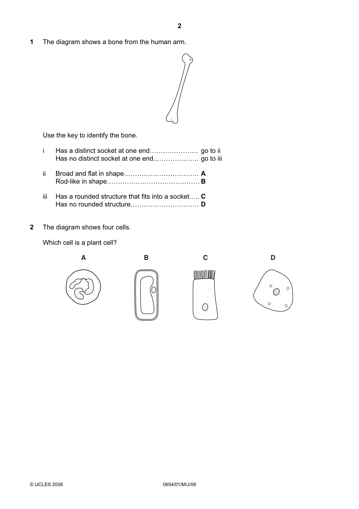 Cambridge IGCSE Sciences - Co-ordinated (Double) 0654 2006 May/June Paper 1 · Variant 1 question paper, page 2 of 20