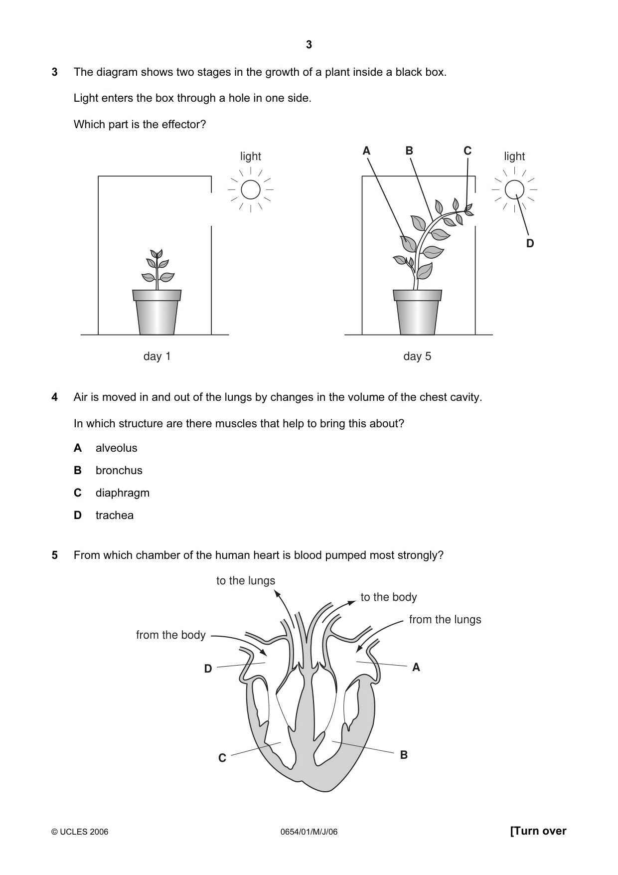Cambridge IGCSE Sciences - Co-ordinated (Double) 0654 2006 May/June Paper 1 · Variant 1 question paper, page 3 of 20
