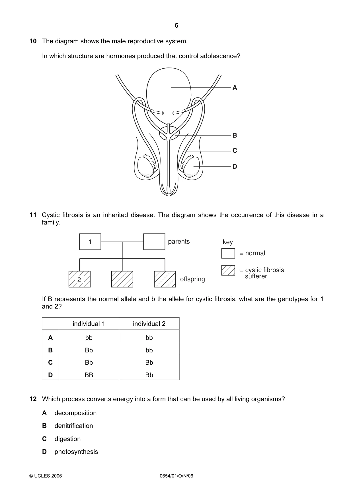 Cambridge IGCSE Sciences - Co-ordinated (Double) 0654 2006 Oct/Nov Paper 1 · Variant 1 question paper, page 6 of 20