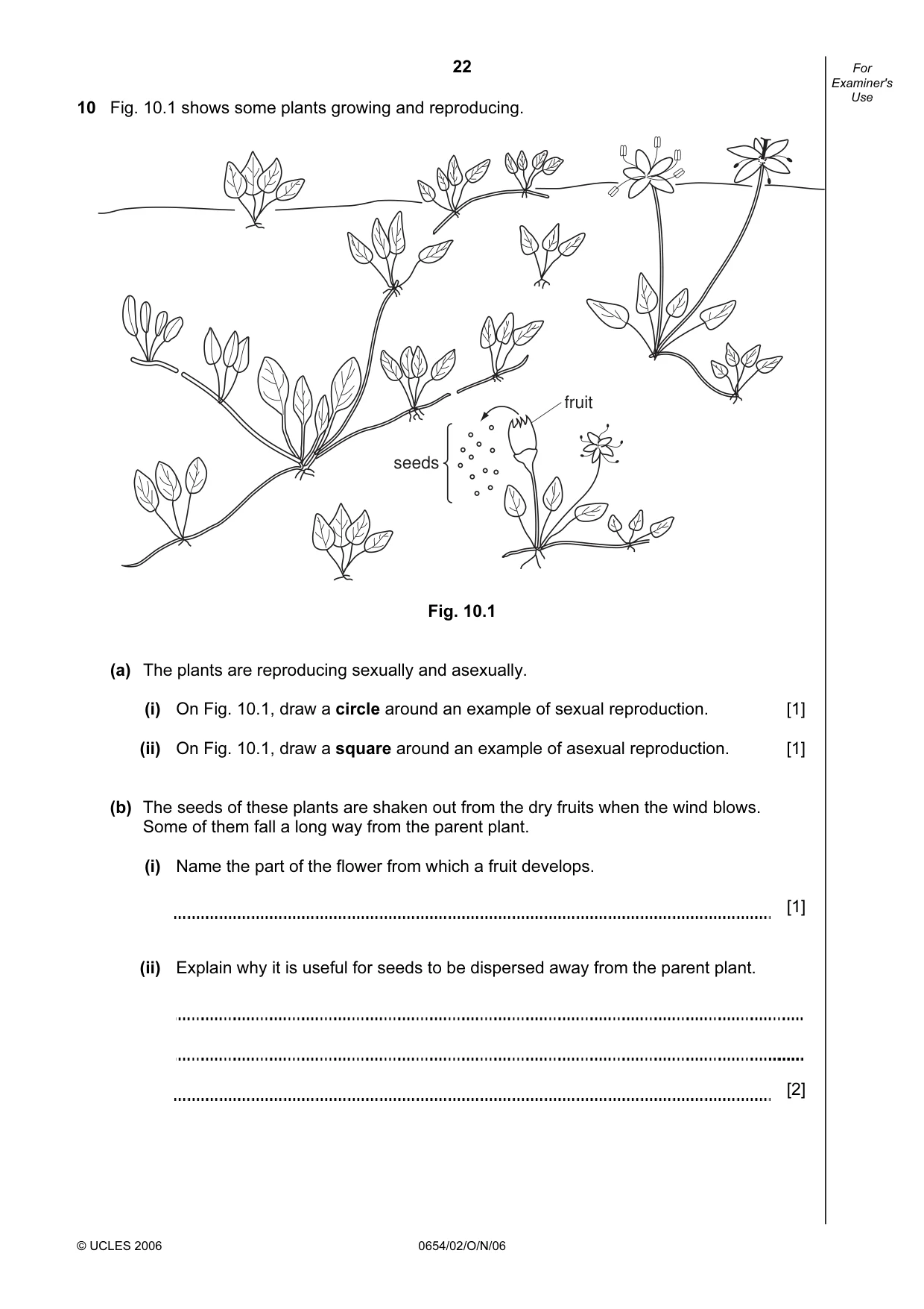 Cambridge IGCSE Sciences - Co-ordinated (Double) 0654 2006 Oct/Nov Paper 2 · Variant 1 question paper, page 22 of 28