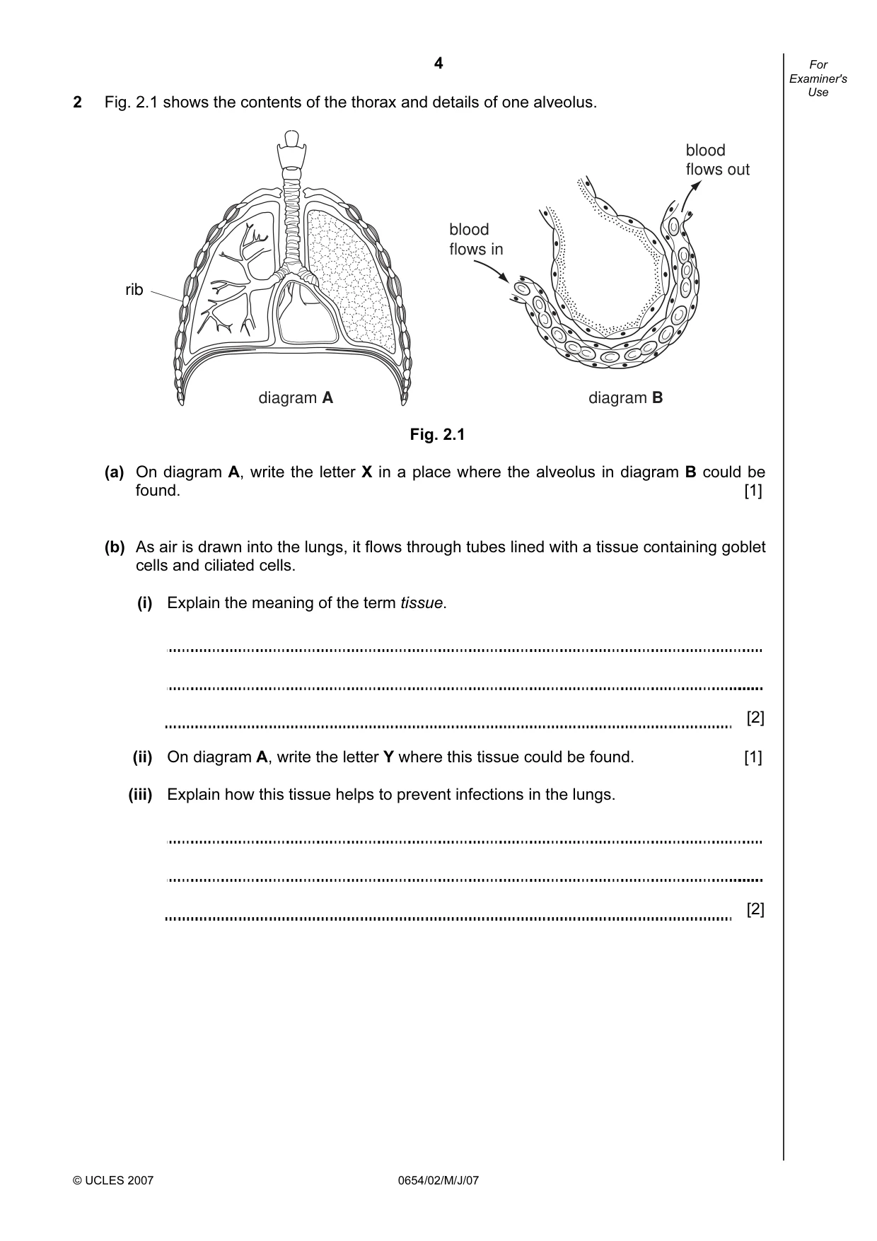 Cambridge IGCSE Sciences - Co-ordinated (Double) 0654 2007 May/June Paper 2 · Variant 1 question paper, page 4 of 24
