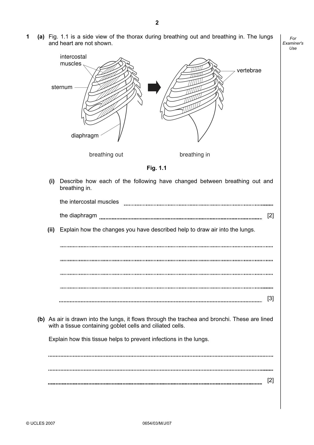 Cambridge IGCSE Sciences - Co-ordinated (Double) 0654 2007 May/June Paper 3 · Variant 1 question paper, page 2 of 20