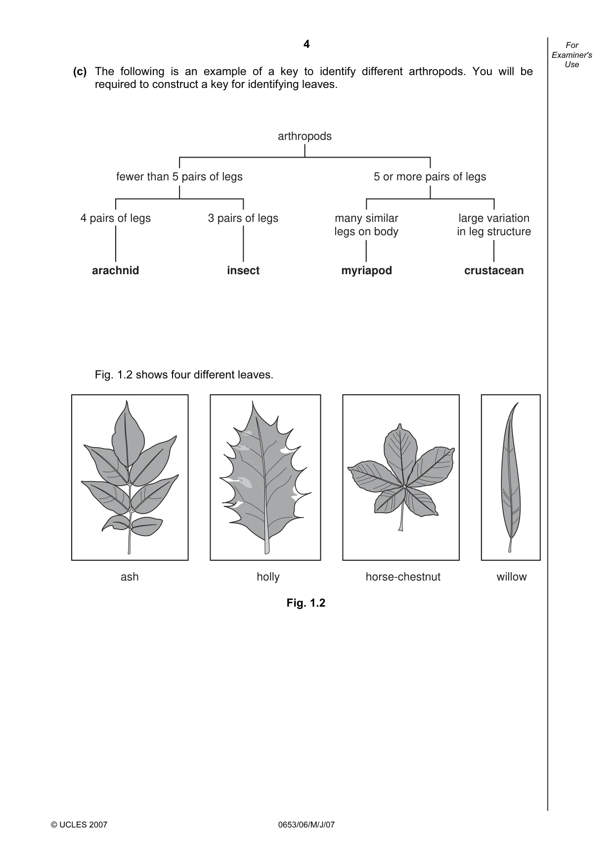 Cambridge IGCSE Sciences - Co-ordinated (Double) 0654 2007 May/June Paper 6 · Variant 1 question paper, page 4 of 20