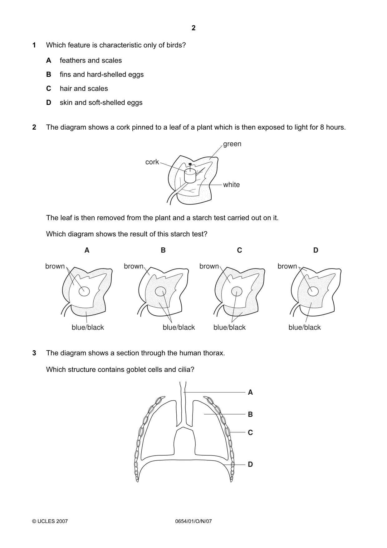 Cambridge IGCSE Sciences - Co-ordinated (Double) 0654 2007 Oct/Nov Paper 1 · Variant 1 question paper, page 2 of 20