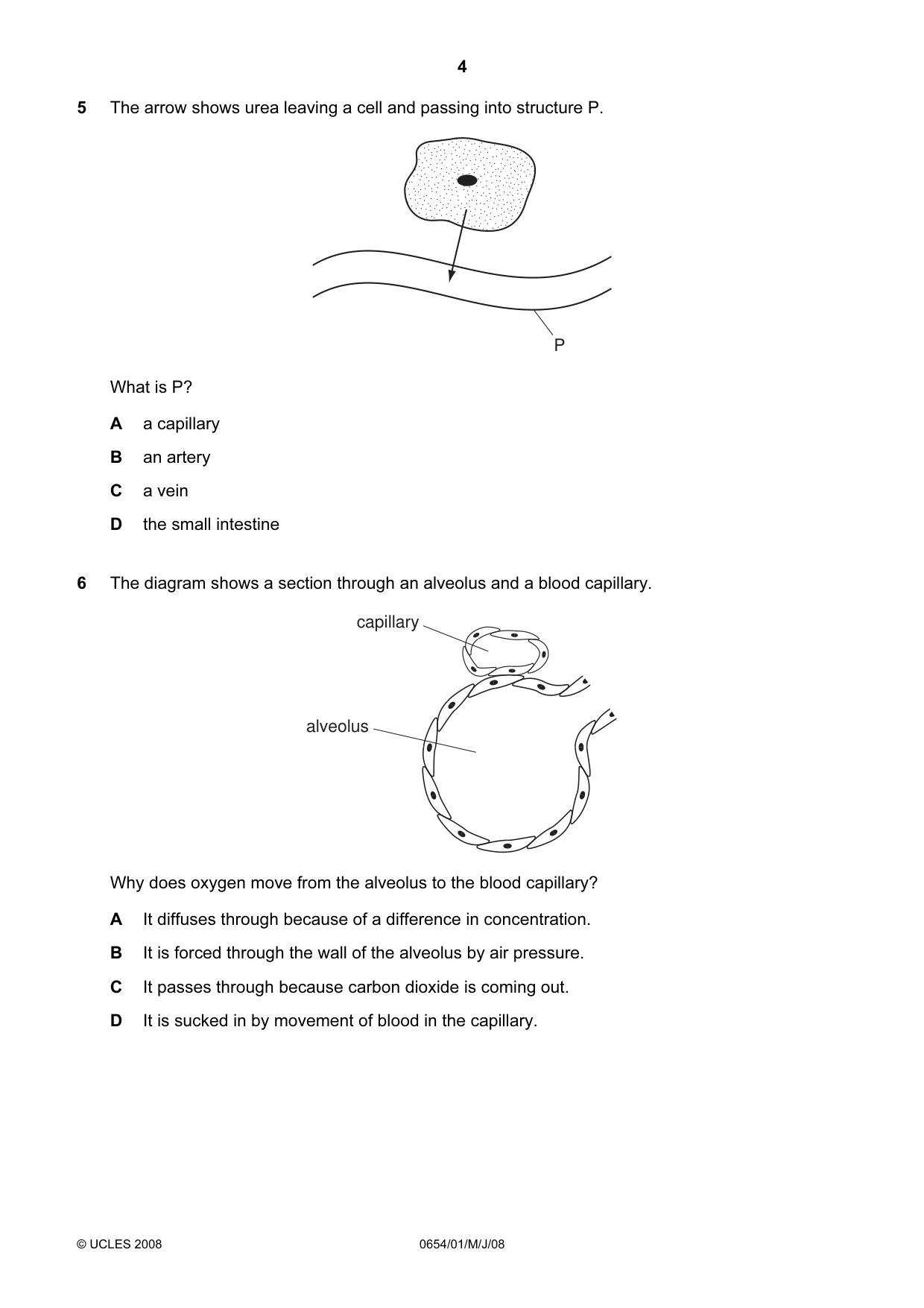 Cambridge IGCSE Sciences - Co-ordinated (Double) 0654 2008 May/June Paper 1 · Variant 1 question paper, page 4 of 20