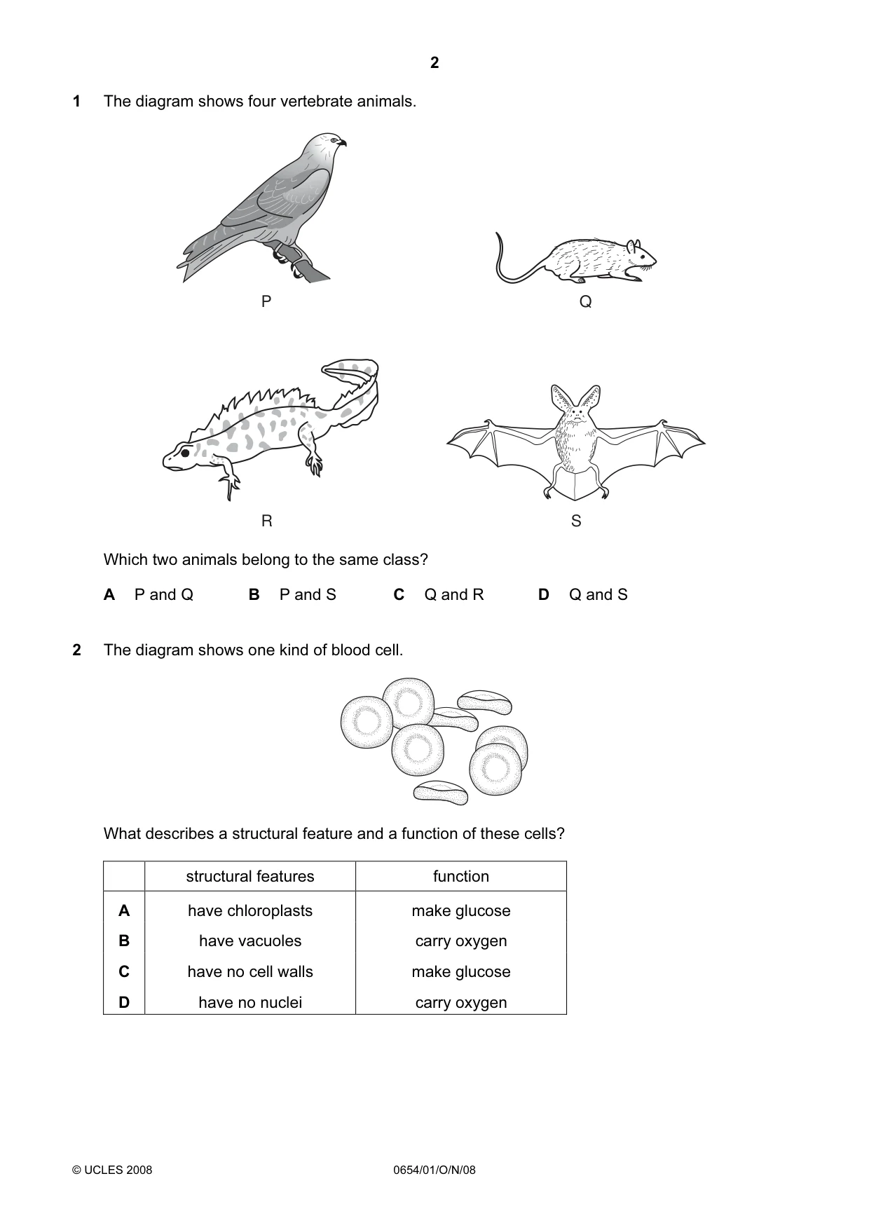 Cambridge IGCSE Sciences - Co-ordinated (Double) 0654 2008 Oct/Nov Paper 1 · Variant 1 question paper, page 2 of 20