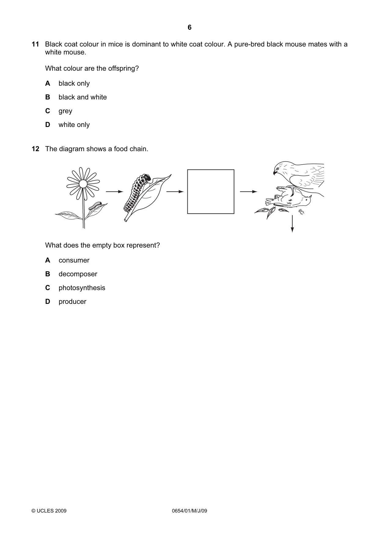 Cambridge IGCSE Sciences - Co-ordinated (Double) 0654 2009 May/June Paper 1 · Variant 1 question paper, page 6 of 20