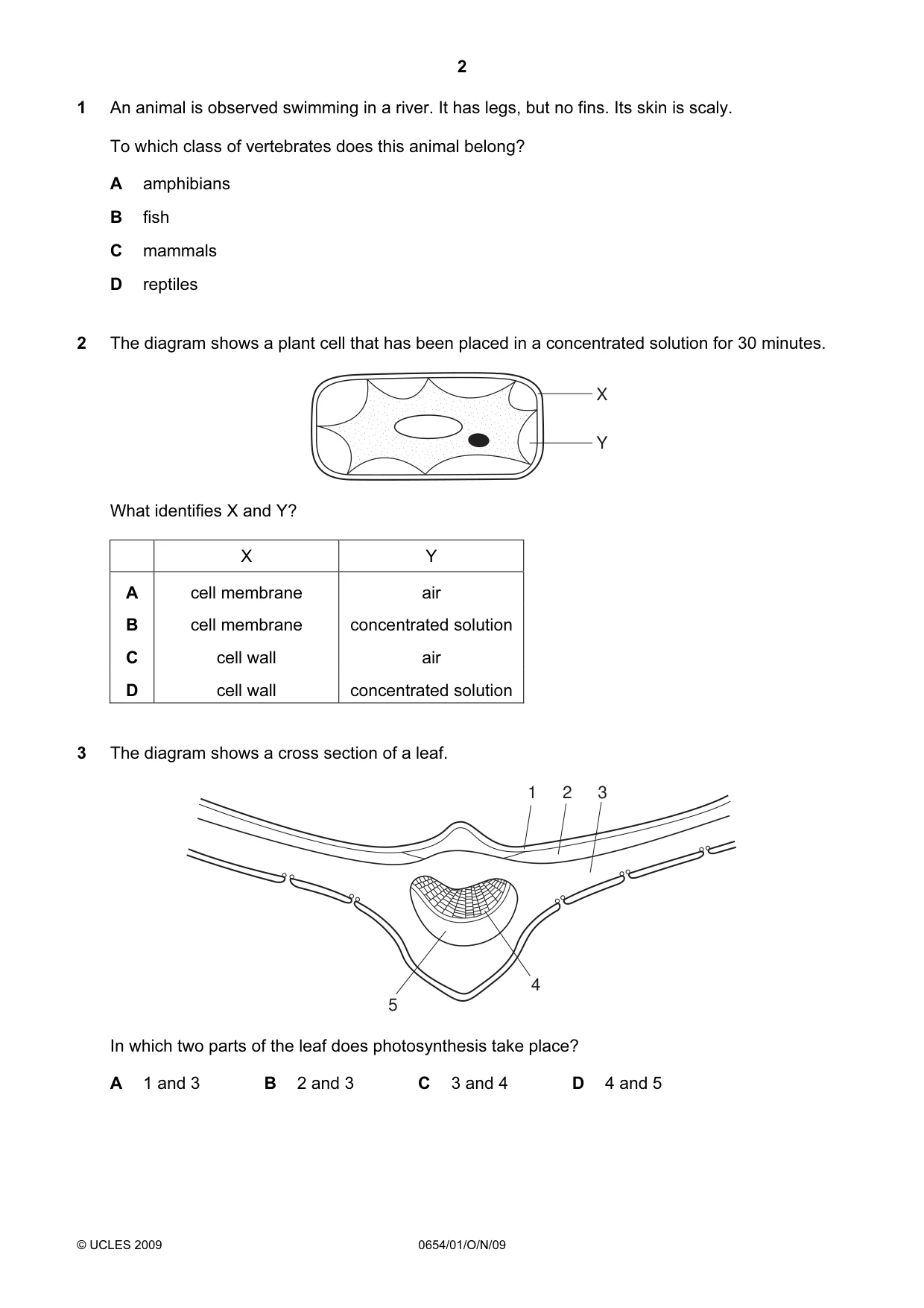 Cambridge IGCSE Sciences - Co-ordinated (Double) 0654 2009 Oct/Nov Paper 1 · Variant 1 question paper, page 2 of 20