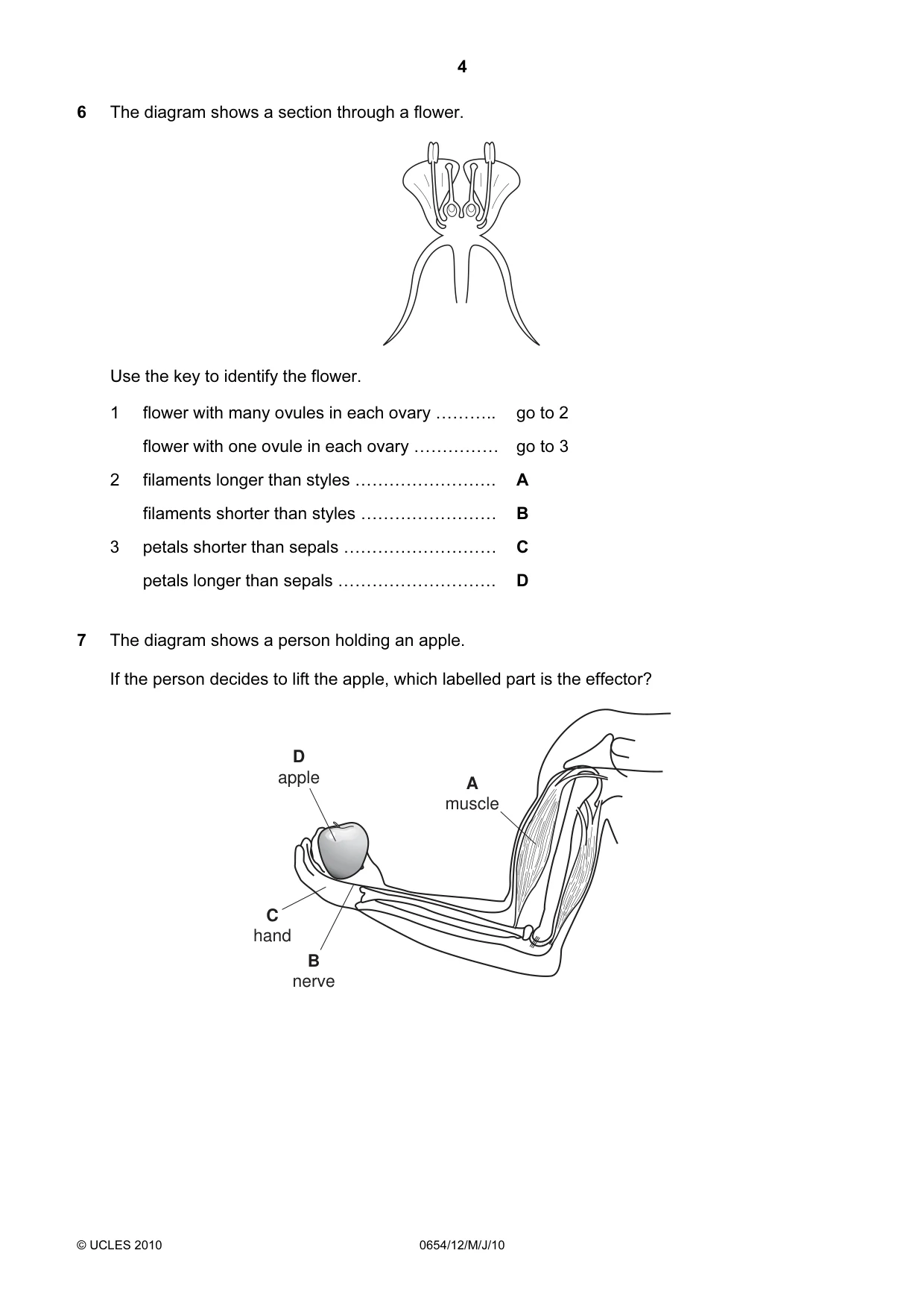Cambridge IGCSE Sciences - Co-ordinated (Double) 0654 2010 May/June Paper 1 · Variant 2 question paper, page 4 of 20