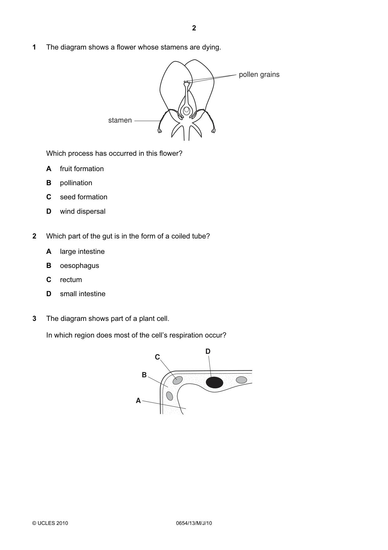 Cambridge IGCSE Sciences - Co-ordinated (Double) 0654 2010 May/June Paper 1 · Variant 3 question paper, page 2 of 20