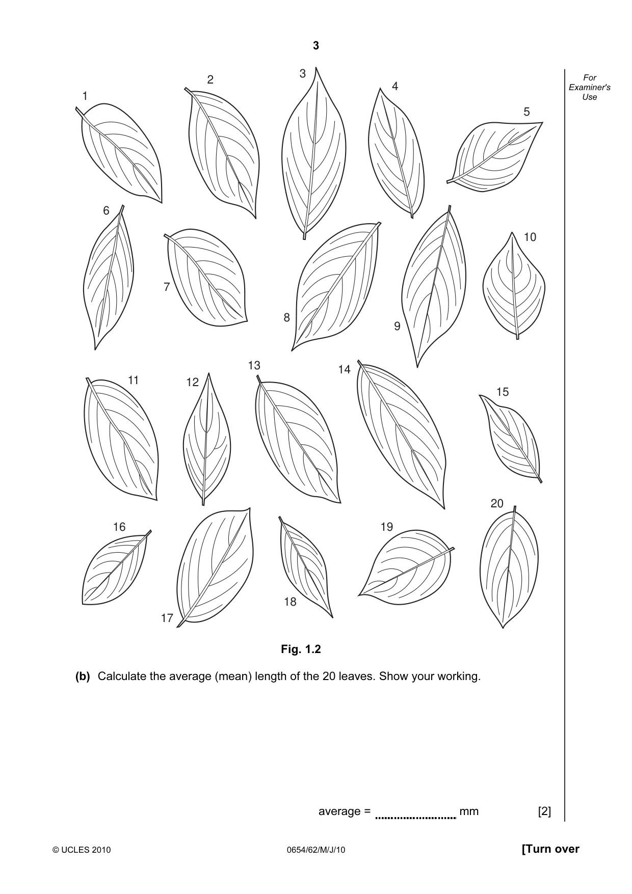 Cambridge IGCSE Sciences - Co-ordinated (Double) 0654 2010 May/June Paper 6 · Variant 2 question paper, page 3 of 20