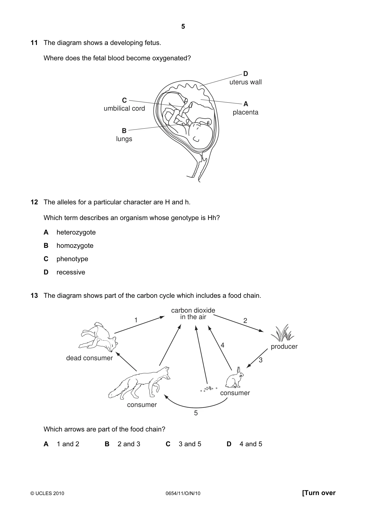 Cambridge IGCSE Sciences - Co-ordinated (Double) 0654 2010 Oct/Nov Paper 1 · Variant 1 question paper, page 5 of 20