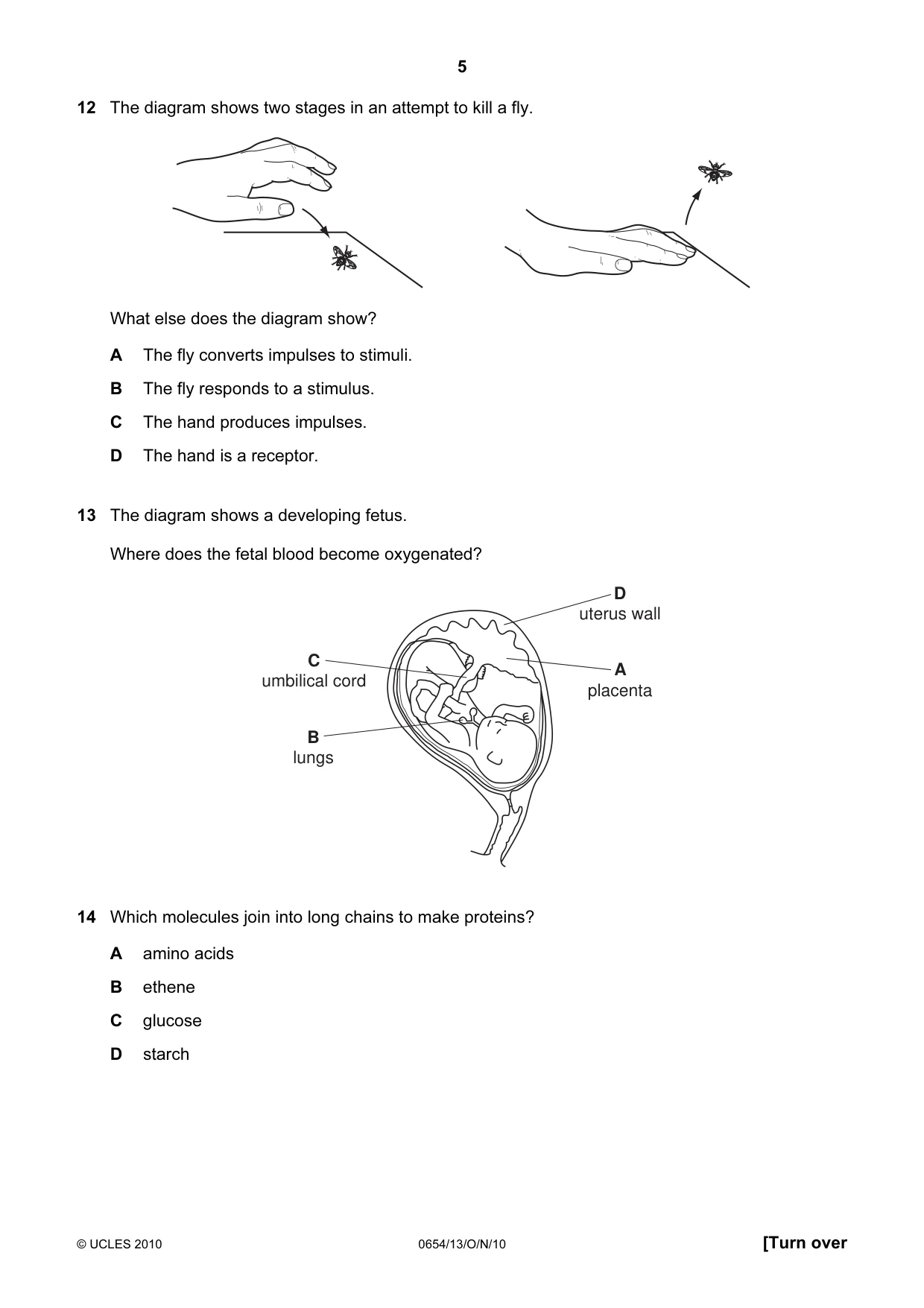 Cambridge IGCSE Sciences - Co-ordinated (Double) 0654 2010 Oct/Nov Paper 1 · Variant 3 question paper, page 5 of 20