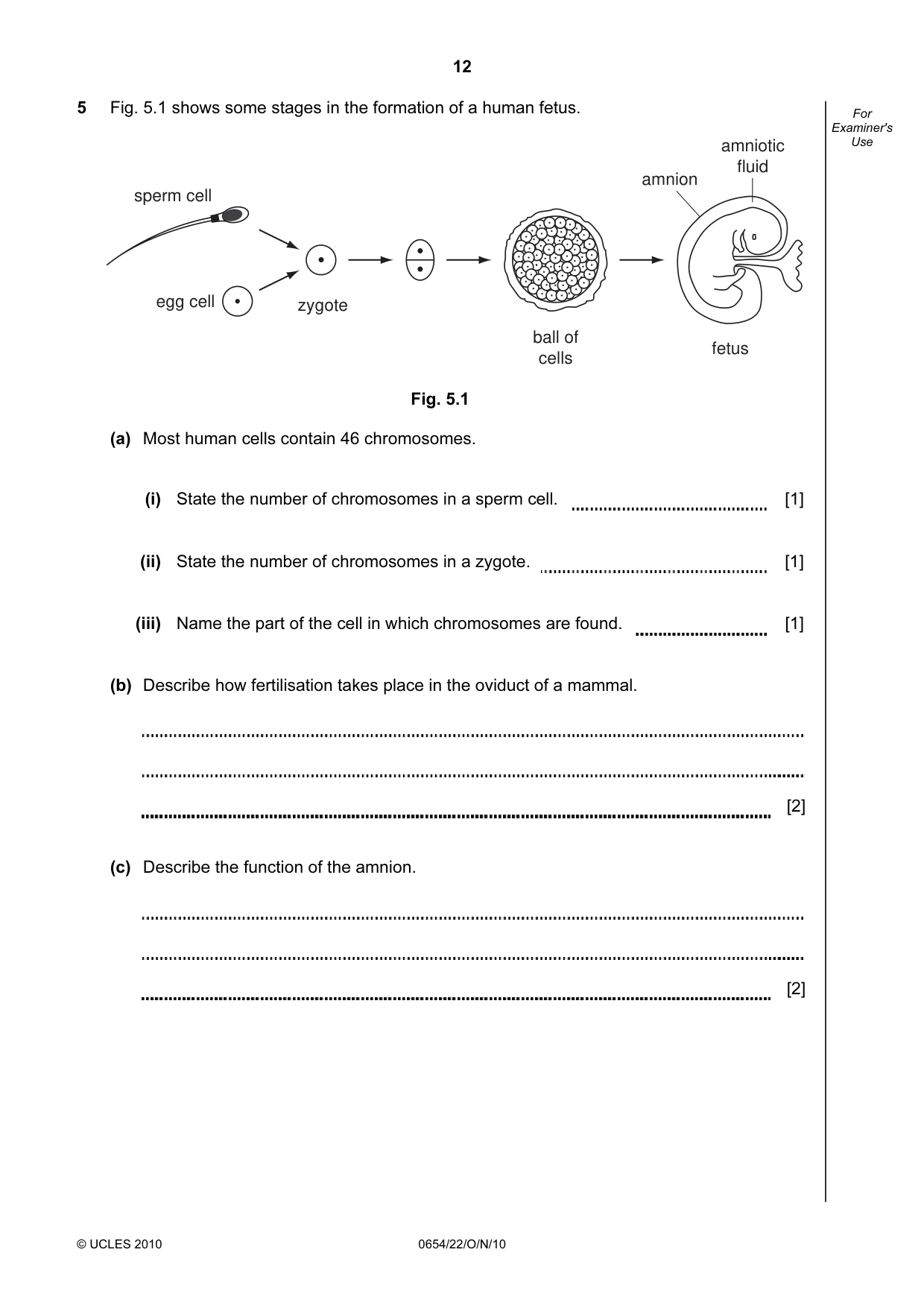 Cambridge IGCSE Sciences - Co-ordinated (Double) 0654 2010 Oct/Nov Paper 2 · Variant 2 question paper, page 12 of 24