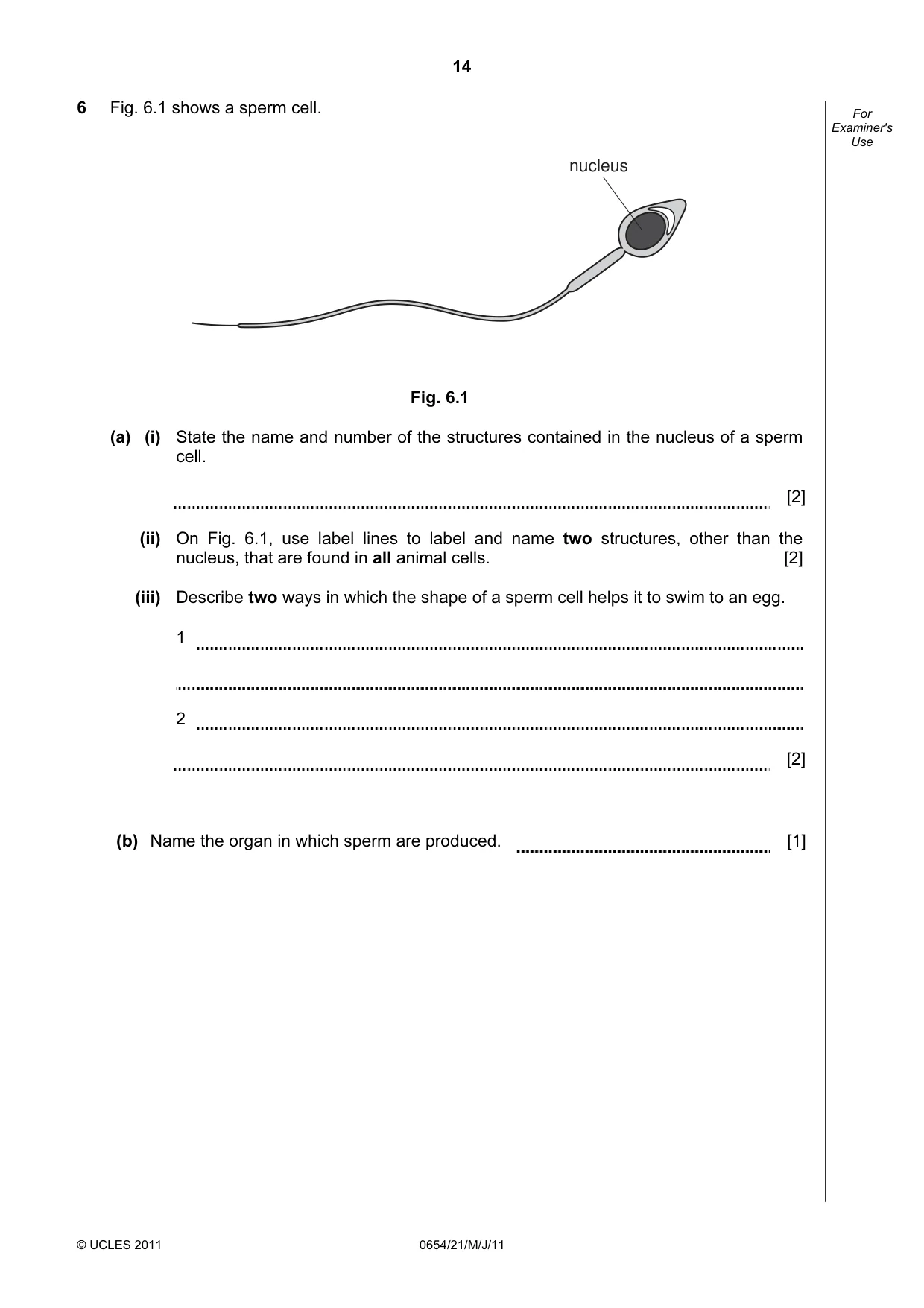 Cambridge IGCSE Sciences - Co-ordinated (Double) 0654 2011 May/June Paper 2 · Variant 1 question paper, page 14 of 24