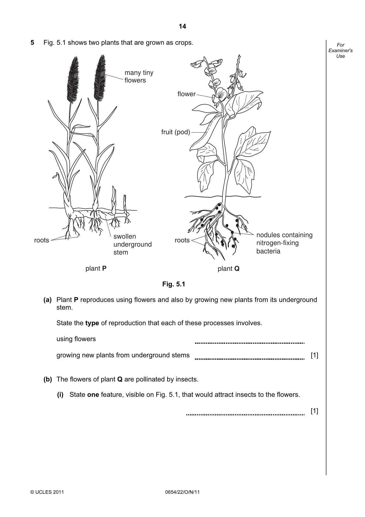 Cambridge IGCSE Sciences - Co-ordinated (Double) 0654 2011 Oct/Nov Paper 2 · Variant 2 question paper, page 14 of 24
