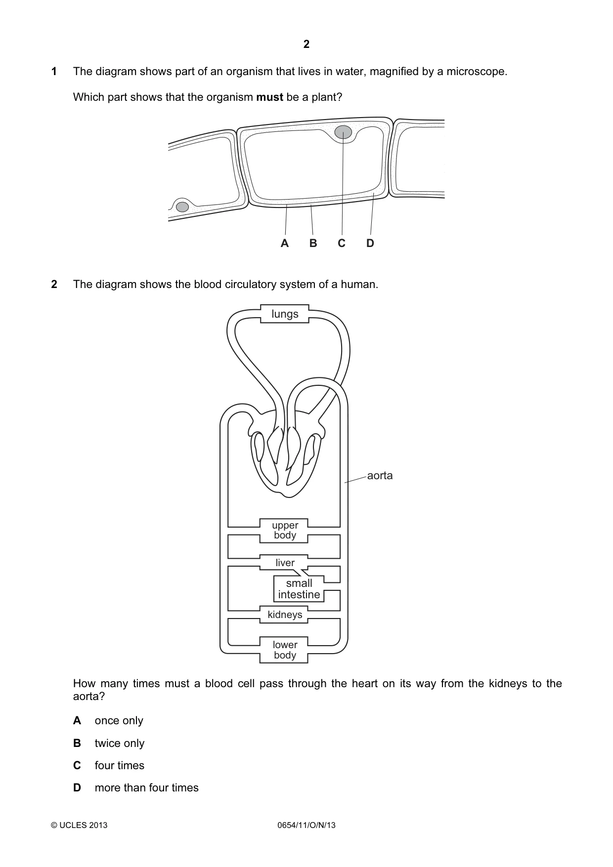 Cambridge IGCSE Sciences - Co-ordinated (Double) 0654 2013 Oct/Nov Paper 1 · Variant 1 question paper, page 2 of 20
