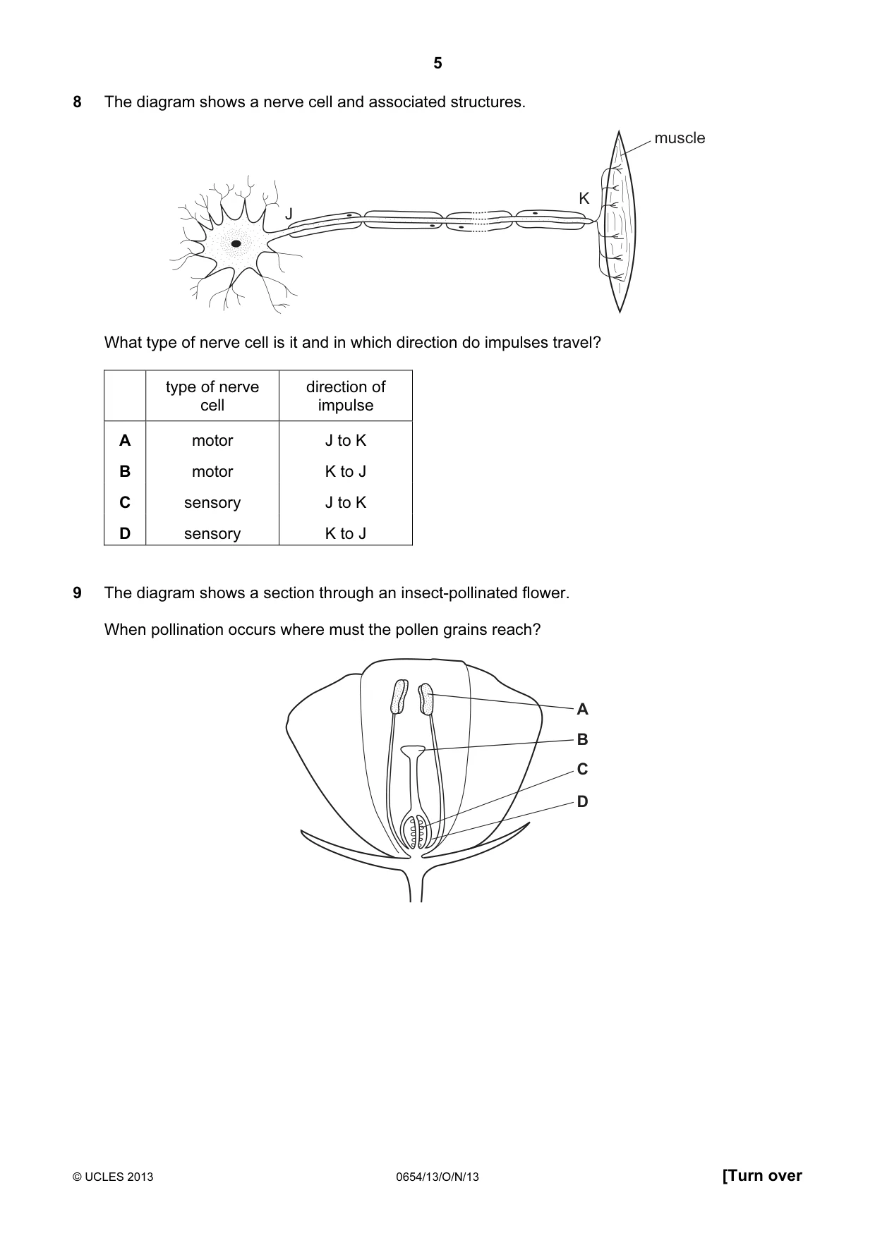 Cambridge IGCSE Sciences - Co-ordinated (Double) 0654 2013 Oct/Nov Paper 1 · Variant 3 question paper, page 5 of 20