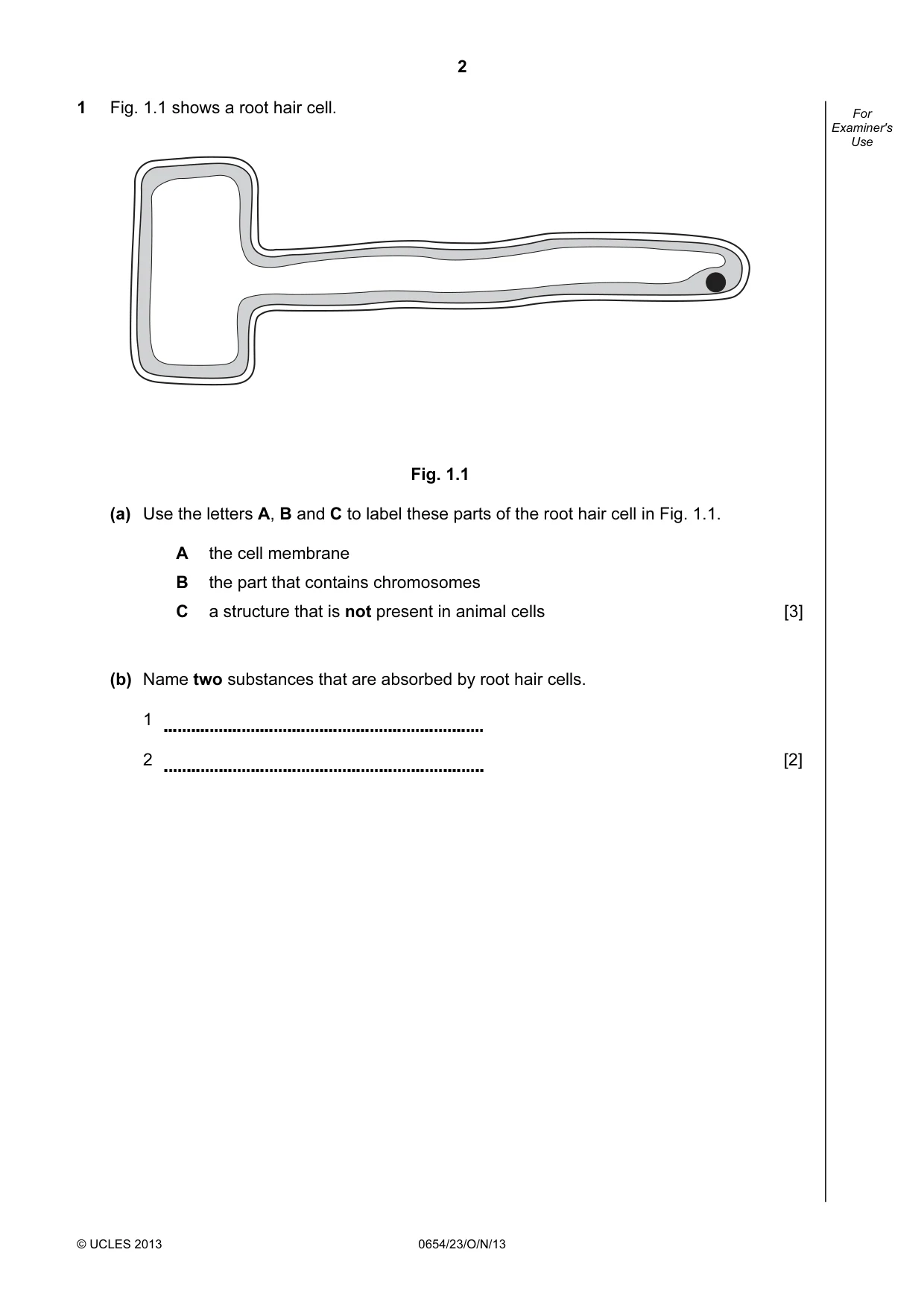 Cambridge IGCSE Sciences - Co-ordinated (Double) 0654 2013 Oct/Nov Paper 2 · Variant 3 question paper, page 2 of 28