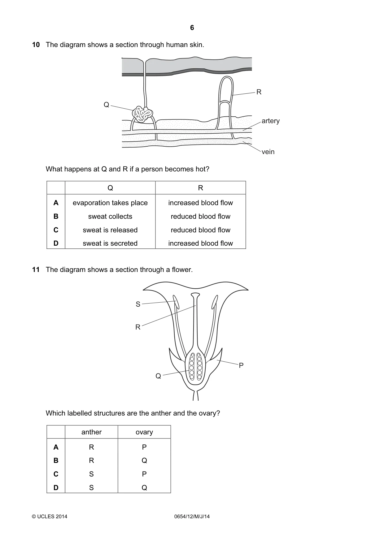 Cambridge IGCSE Sciences - Co-ordinated (Double) 0654 2014 May/June Paper 1 · Variant 2 question paper, page 6 of 20