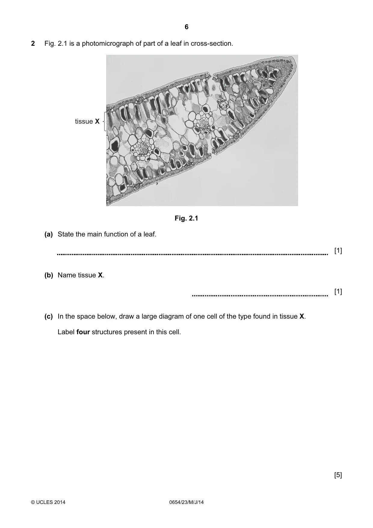 Cambridge IGCSE Sciences - Co-ordinated (Double) 0654 2014 May/June Paper 2 · Variant 3 question paper, page 6 of 32