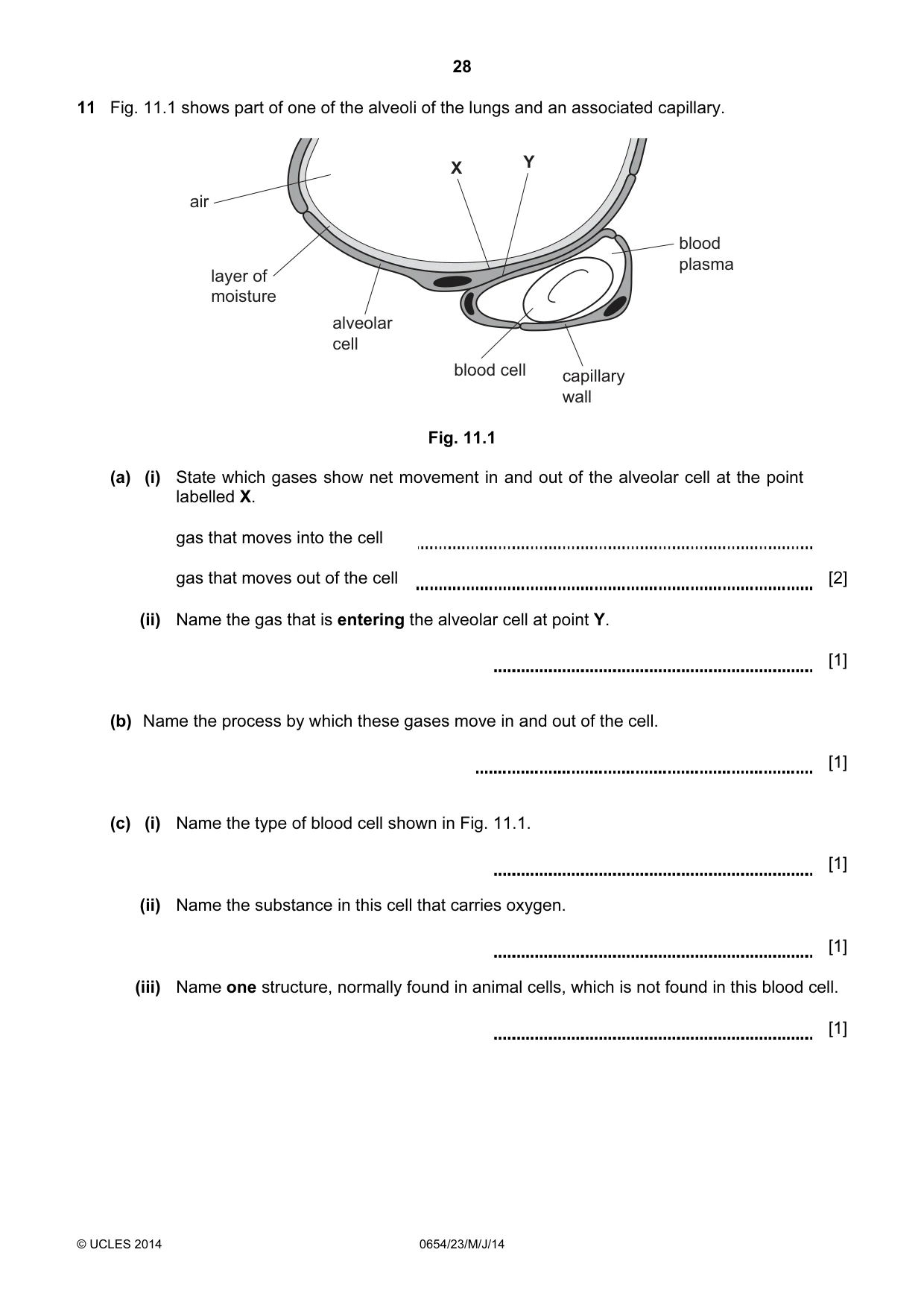 Cambridge IGCSE Sciences - Co-ordinated (Double) 0654 2014 May/June Paper 2 · Variant 3 question paper, page 28 of 32
