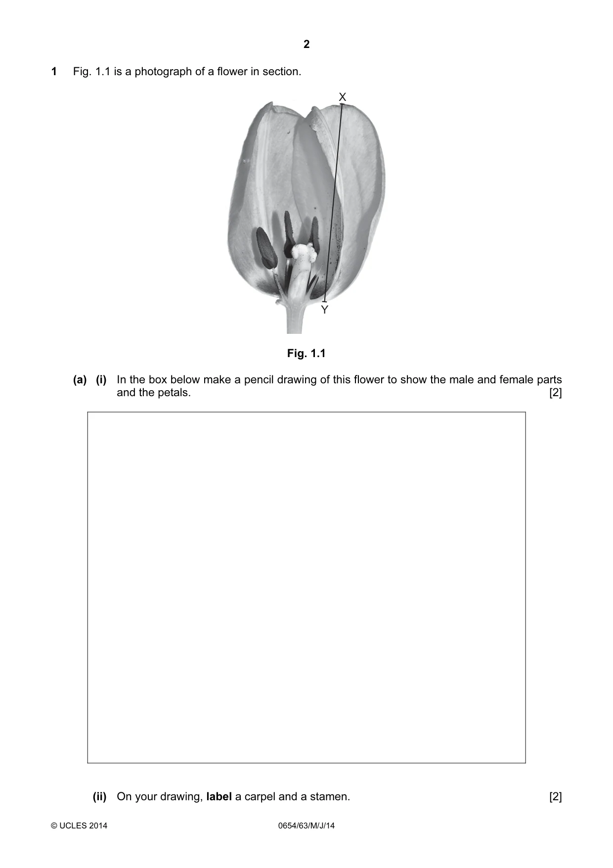 Cambridge IGCSE Sciences - Co-ordinated (Double) 0654 2014 May/June Paper 6 · Variant 3 question paper, page 2 of 20