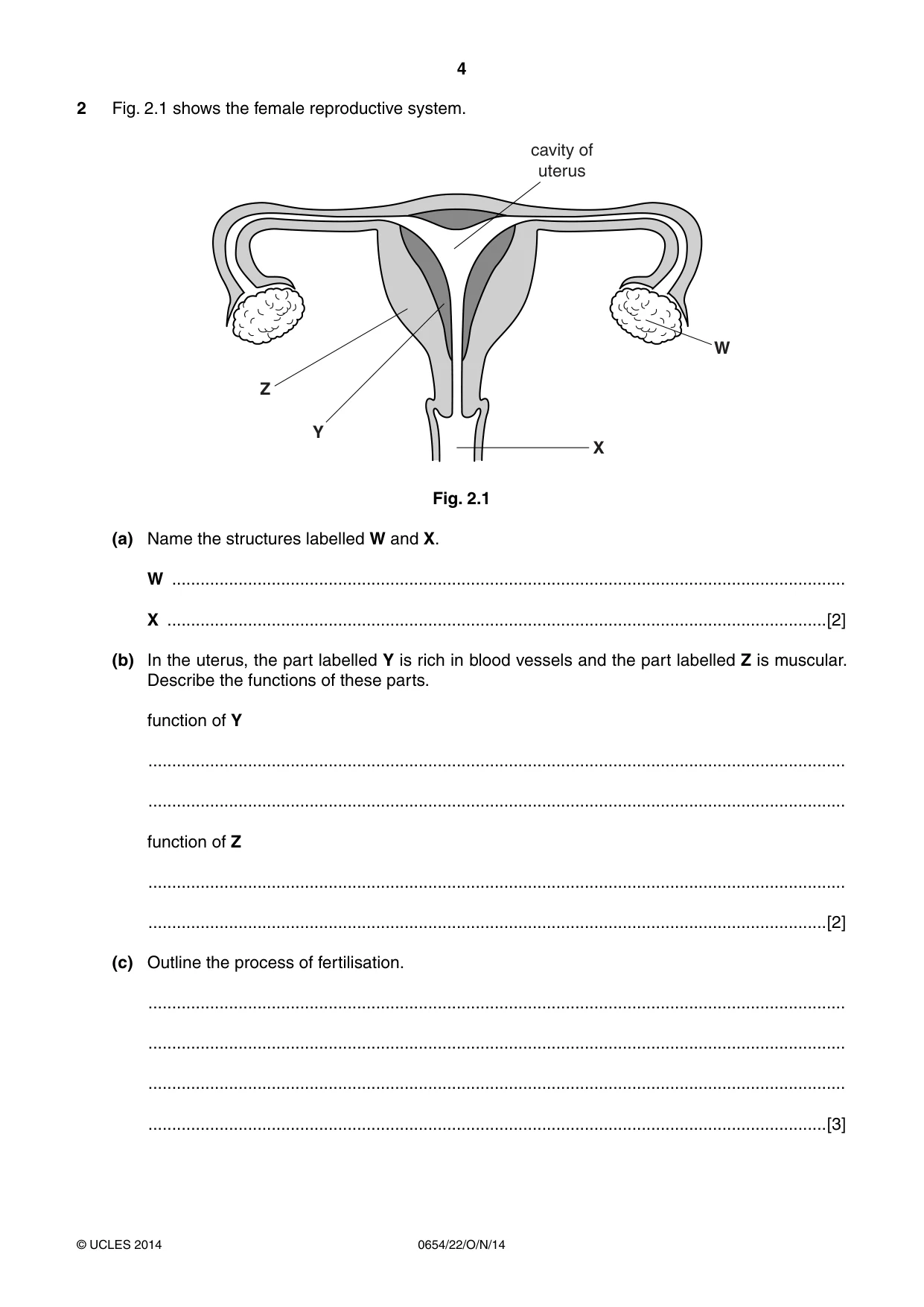 Cambridge IGCSE Sciences - Co-ordinated (Double) 0654 2014 Oct/Nov Paper 2 · Variant 2 question paper, page 4 of 32