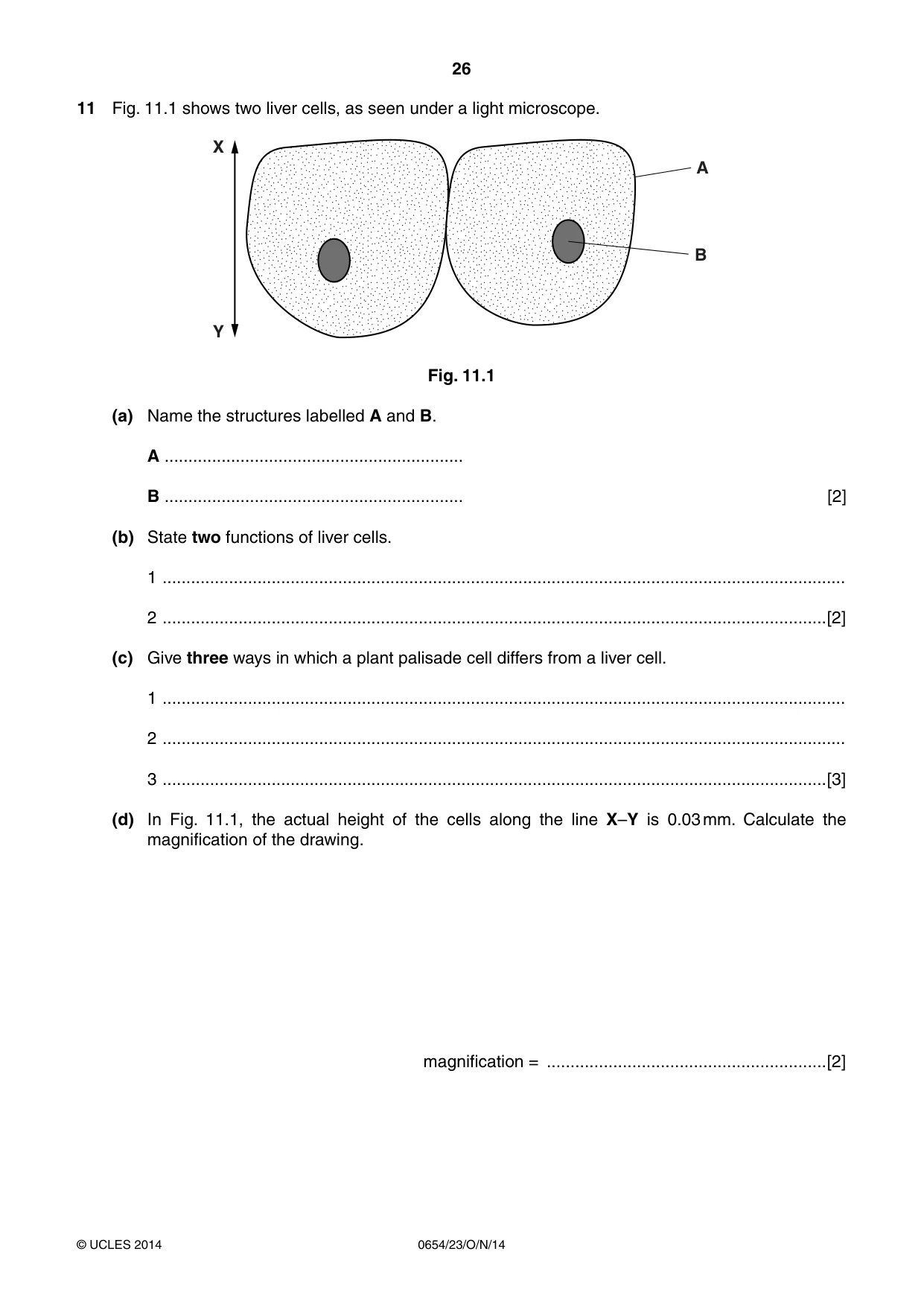 Cambridge IGCSE Sciences - Co-ordinated (Double) 0654 2014 Oct/Nov Paper 2 · Variant 3 question paper, page 26 of 32