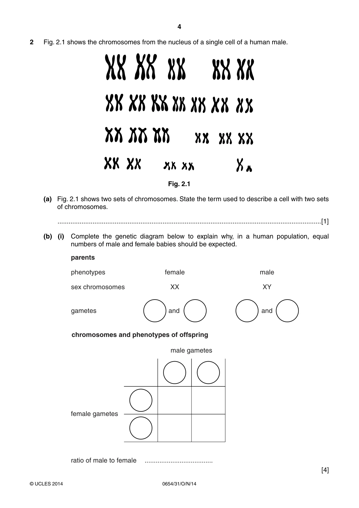 Cambridge IGCSE Sciences - Co-ordinated (Double) 0654 2014 Oct/Nov Paper 3 · Variant 1 question paper, page 4 of 32