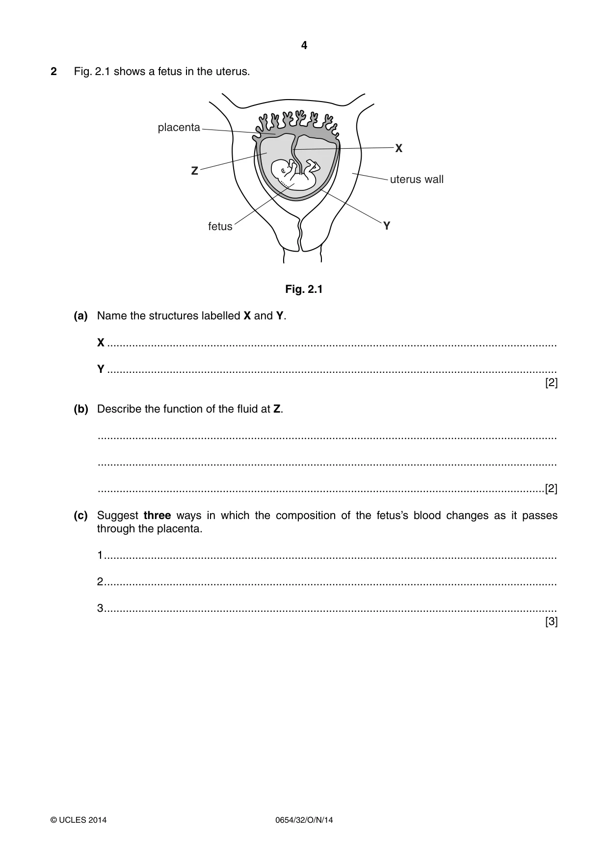 Cambridge IGCSE Sciences - Co-ordinated (Double) 0654 2014 Oct/Nov Paper 3 · Variant 2 question paper, page 4 of 32