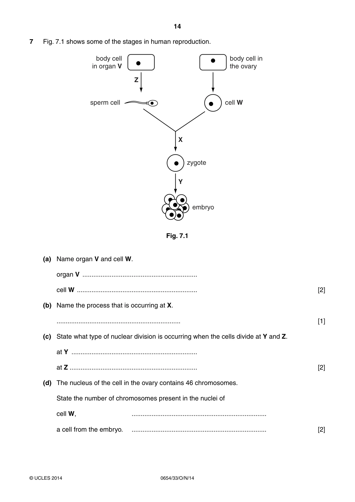 Cambridge IGCSE Sciences - Co-ordinated (Double) 0654 2014 Oct/Nov Paper 3 · Variant 3 question paper, page 14 of 28