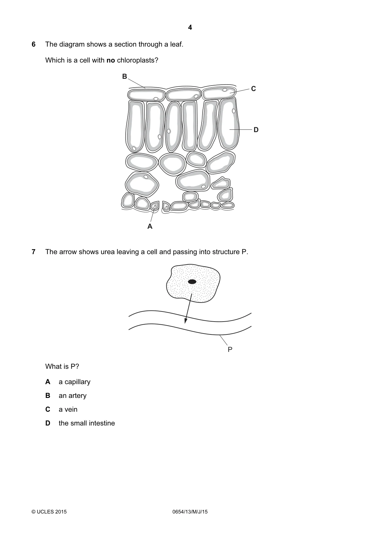 Cambridge IGCSE Sciences - Co-ordinated (Double) 0654 2015 May/June Paper 1 · Variant 3 question paper, page 4 of 16