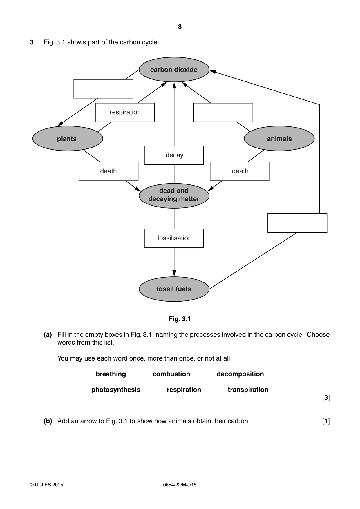 Cambridge IGCSE Sciences - Co-ordinated (Double) 0654 2015 May/June Paper 2 · Variant 2 question paper, page 8 of 28