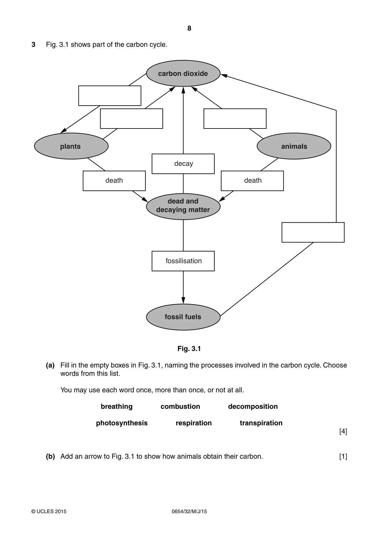 Cambridge IGCSE Sciences - Co-ordinated (Double) 0654 2015 May/June Paper 3 · Variant 2 question paper, page 8 of 32