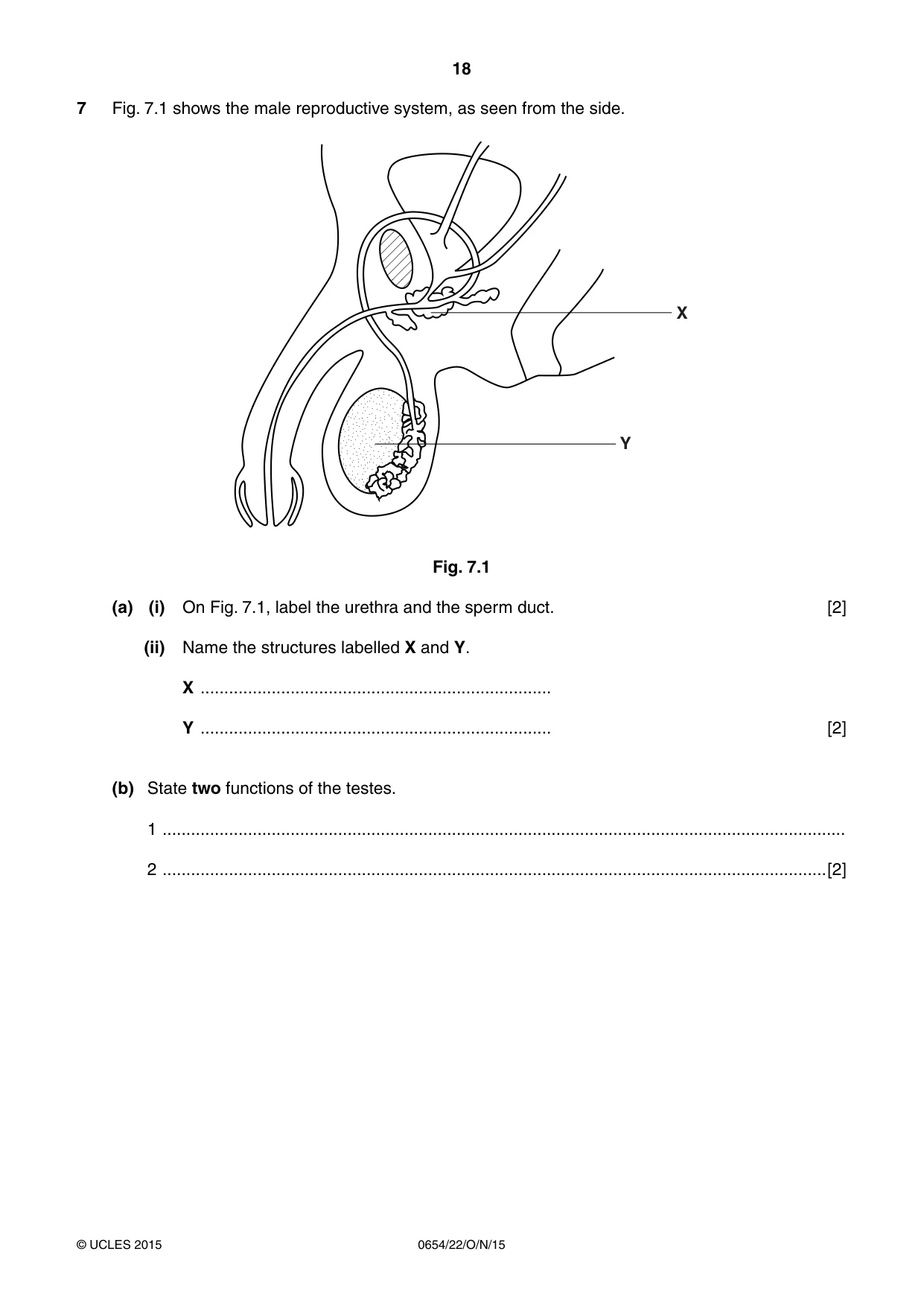 Cambridge IGCSE Sciences - Co-ordinated (Double) 0654 2015 Oct/Nov Paper 2 · Variant 2 question paper, page 18 of 32