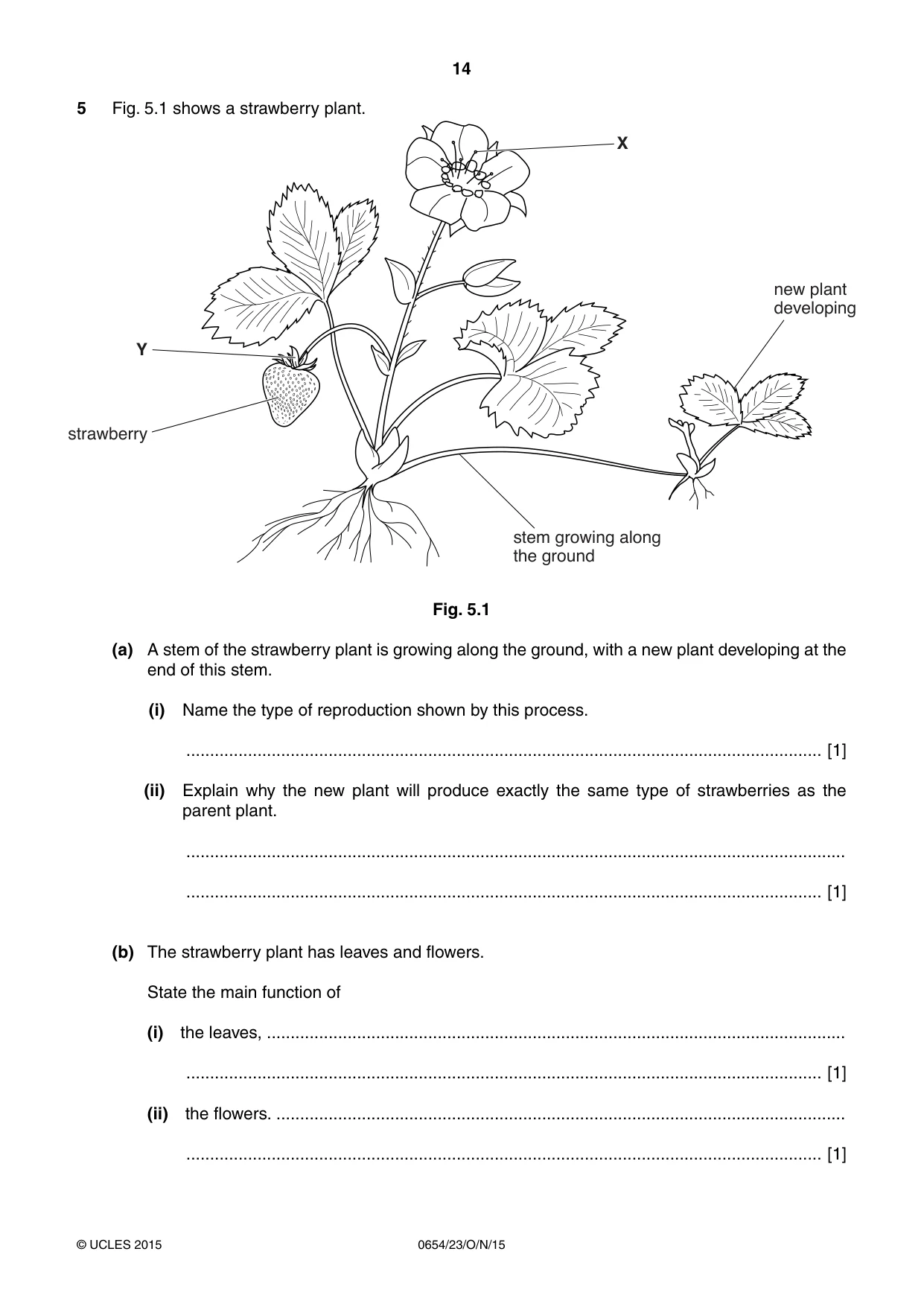 Cambridge IGCSE Sciences - Co-ordinated (Double) 0654 2015 Oct/Nov Paper 2 · Variant 3 question paper, page 14 of 32